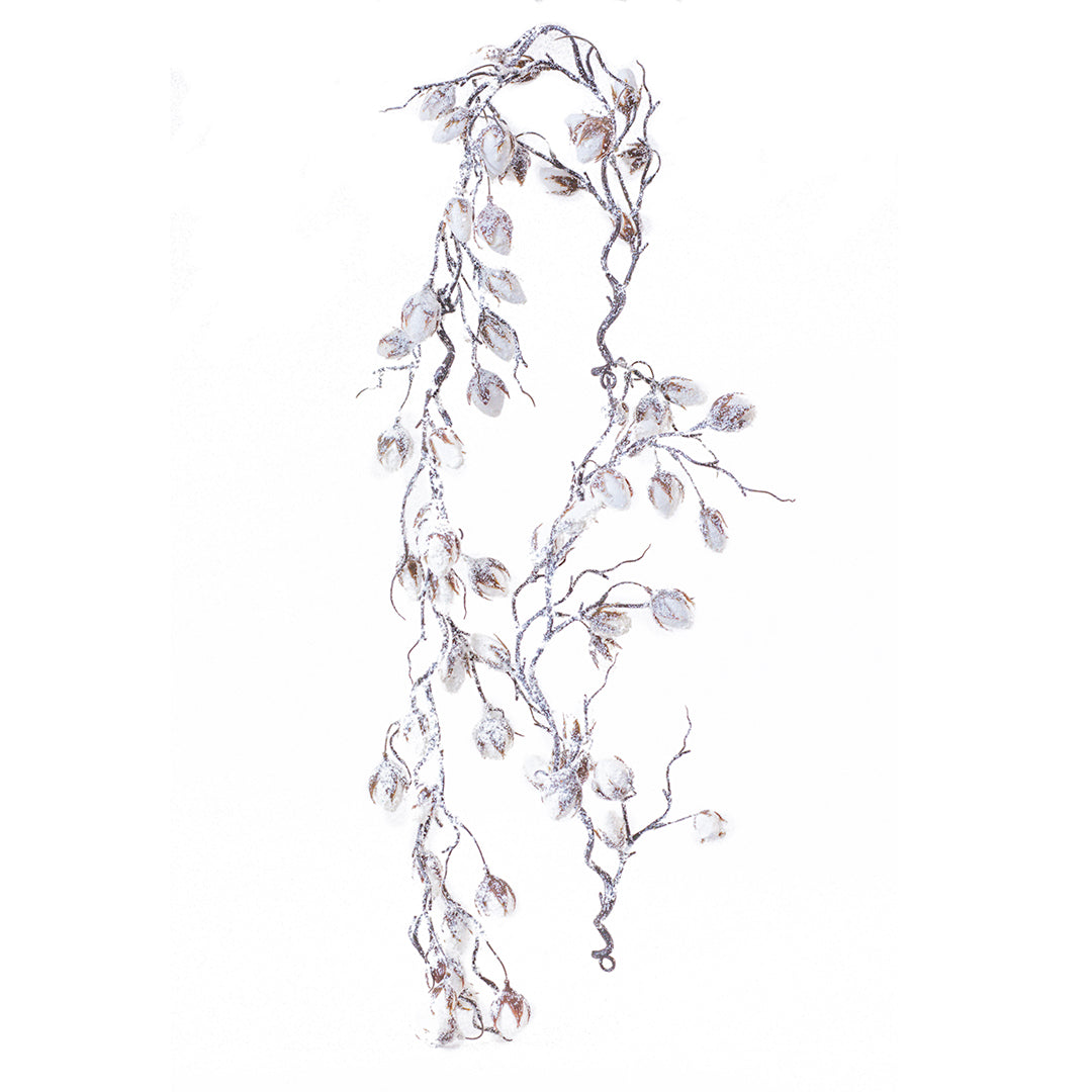 Guia de Bellotas Natural Nevada