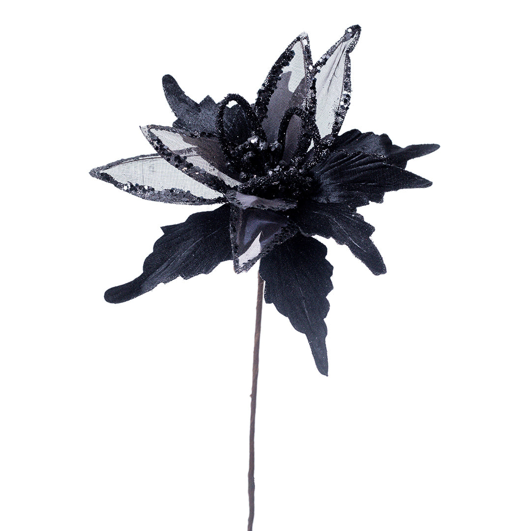 Flor Black Velvet