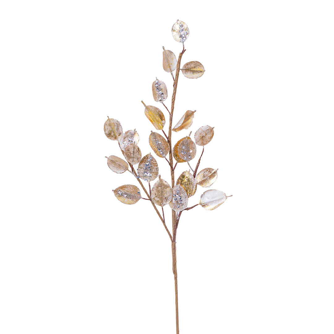 Vara de Dolar Champagne