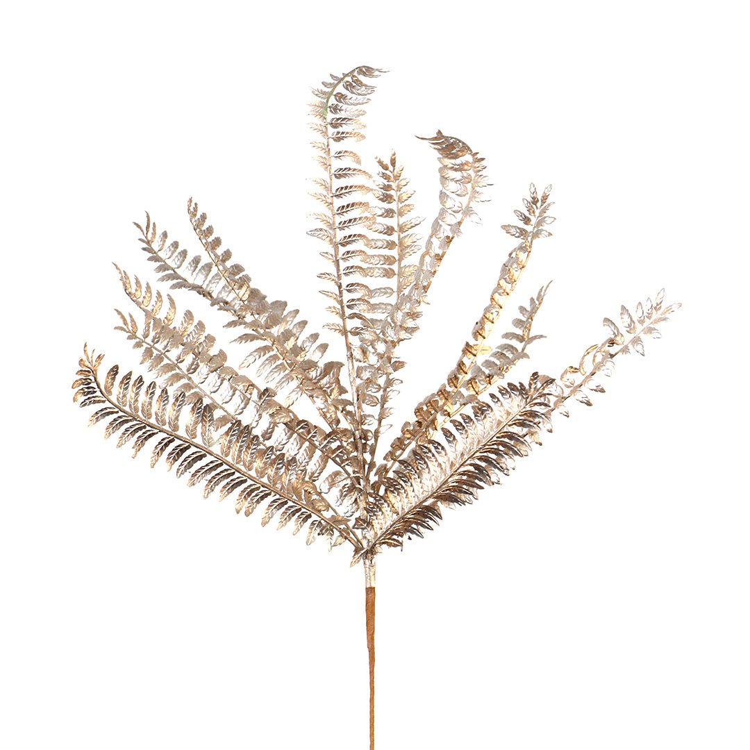 Ramo de Helecho Champagne