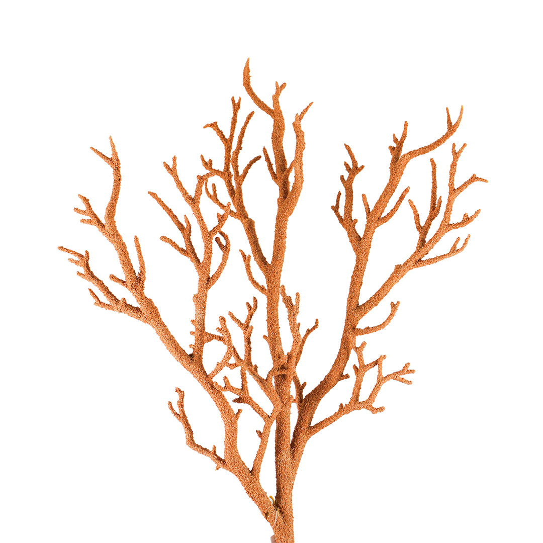 Vara X 3 55 cm Café