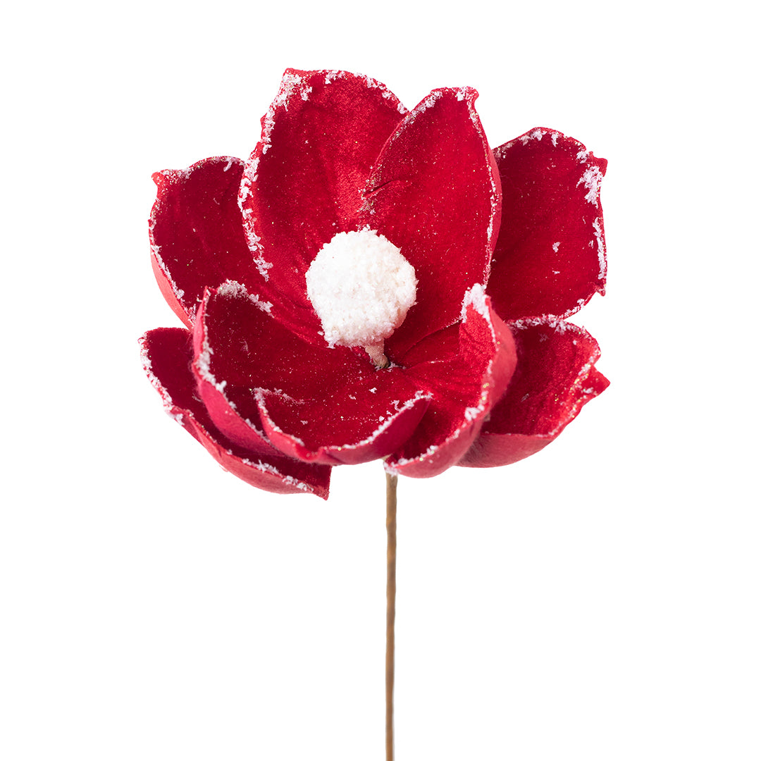 Vara de Magnolia Centro Blanco