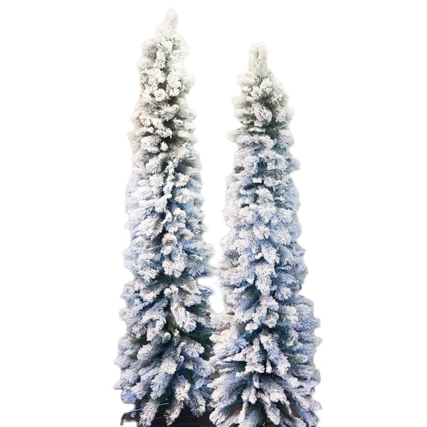 Frosted Slim Pine