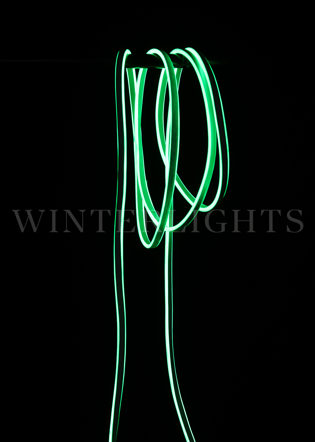 Manguera LED Neón Verde 10m