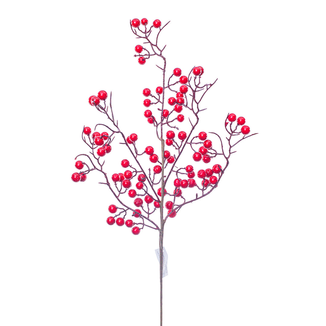 Pick de Berry Rojo Chico