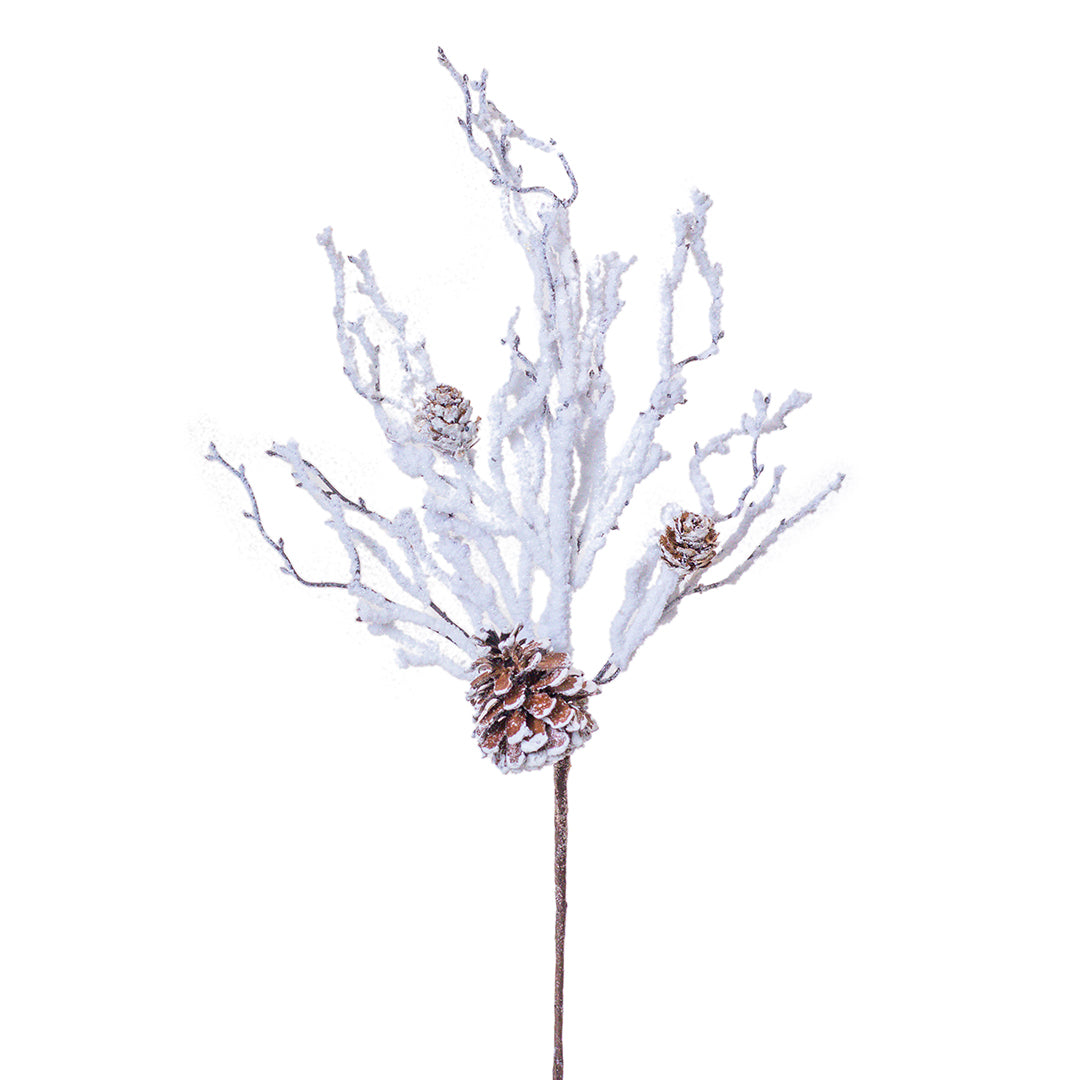 Hoja con Pina Blanco